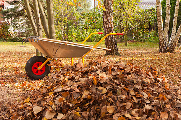 istock Autumn in the garden 525352507