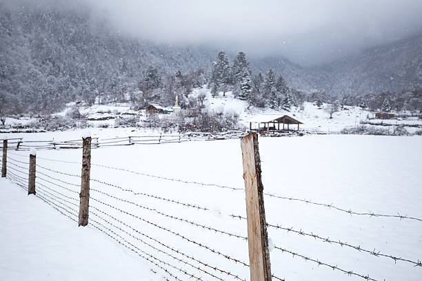 istock Country in snow 525352520