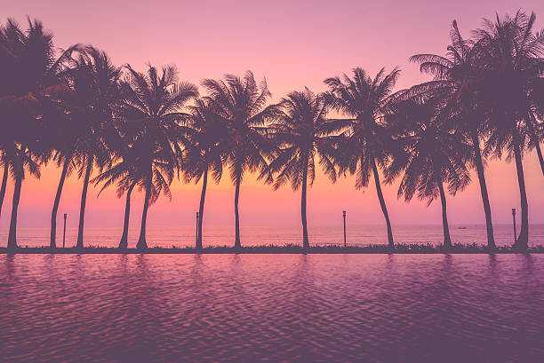 istock Sunset with silhouette Palm trees, Pastel Style 525352614
