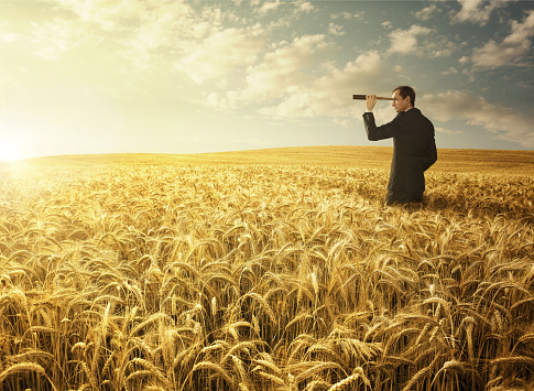 Young businessman in the wheat field searching for the new opportunites