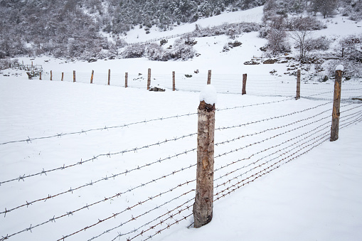 Snow on Chain link fence