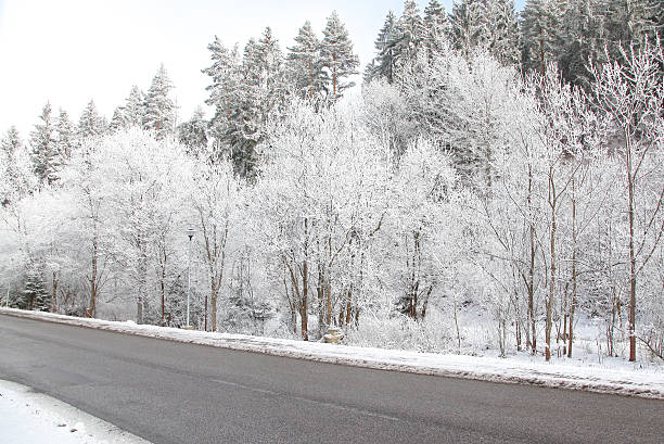 istock Beautiful frost on the trees 525353607