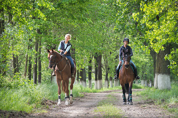 istock Girls on horseback riding 525354763