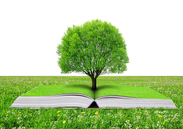 istock Book of nature with tree 525357684