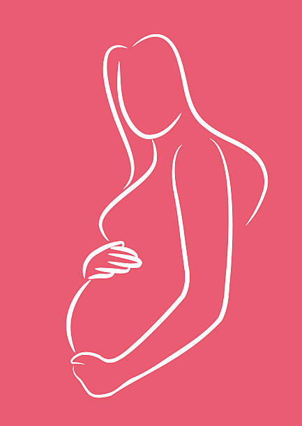 임산부 손 위의 tummy - human pregnancy stock illustrations