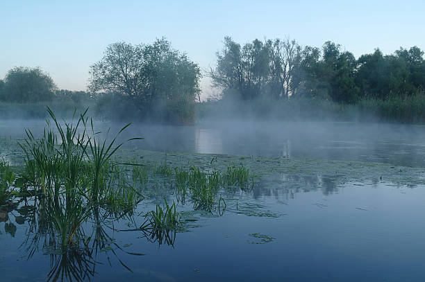 istock Morning landscape with fog on the river 525360180