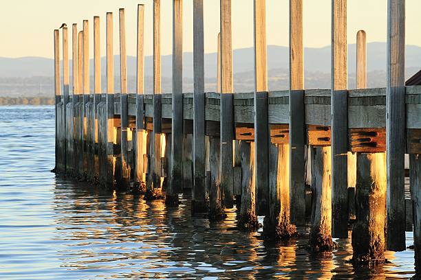 istock Wooden jetty on a lake 525360610
