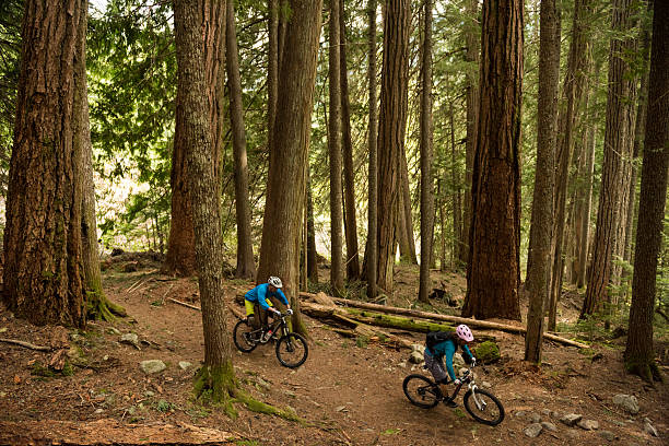 istock Couple biking in an old growth forest 525361122