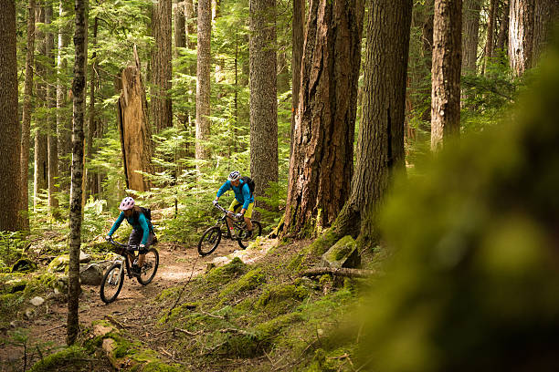 istock Couple biking in an old growth forest 525361362