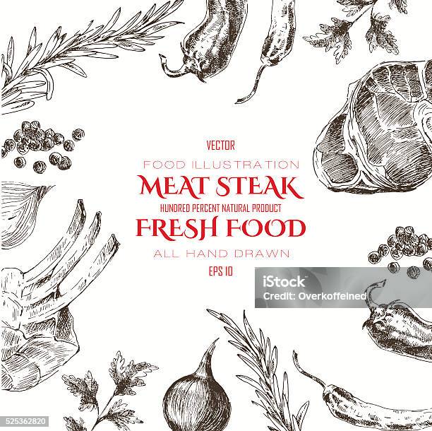 Vector Meat Steak Sketch Drawing Designer Template Food Handdrawn Stock Illustration - Download Image Now