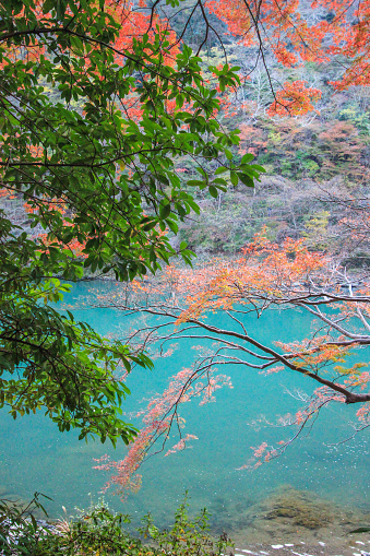 Kameyama Park is located in Arashiyama,western Kyoto,Japan