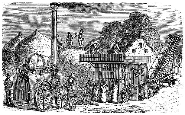 Finishing Steam Thrashing machine 19th century engraving of a Finishing Steam Thrashing machine threshing stock illustrations