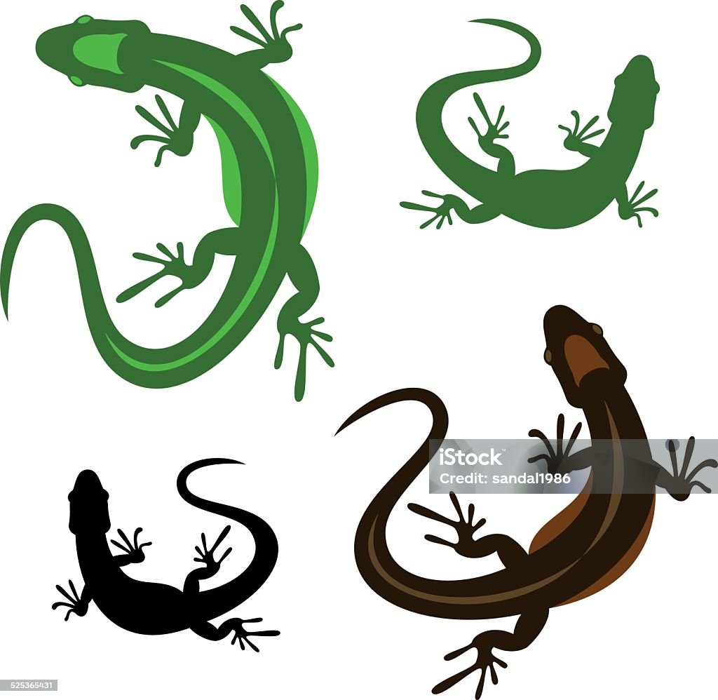 Lizard Vector Image Lizard Stock Illustration - Download Image Now - Abstract, Animal ...