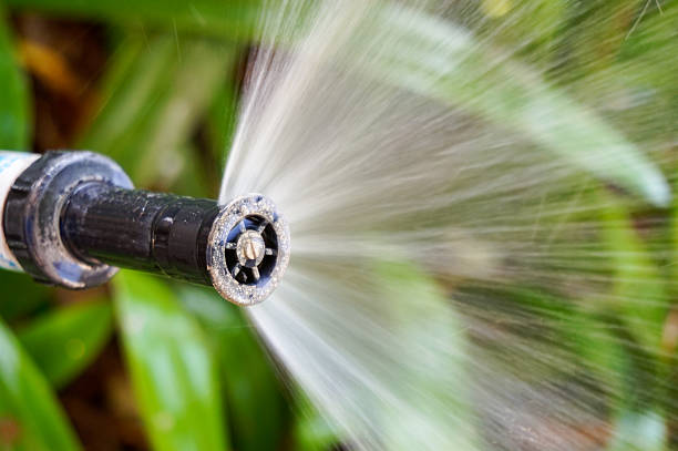 istock sprinkler of automatic watering 525365701