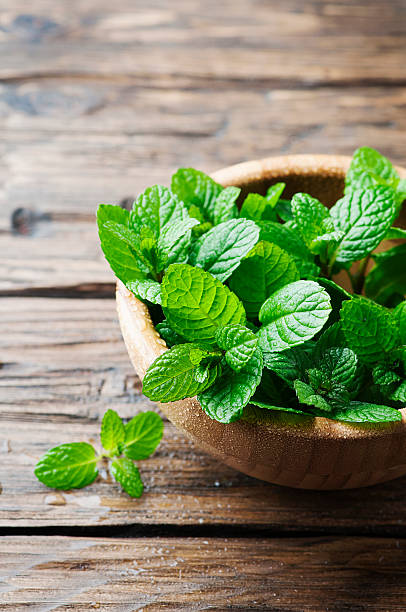 istock Green fresh mint om the wooden table 525367512