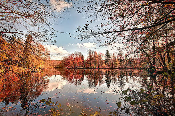 istock panorama of autumn trees at a glassy lake 525371131