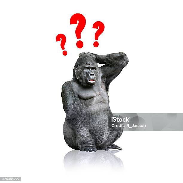 Gorilla Stock Photo - Download Image Now - Cut Out, Gorilla, Challenge