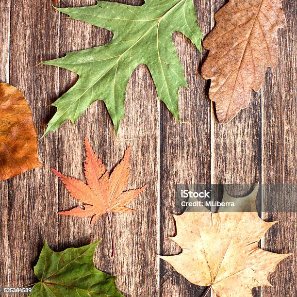 Autumn Leaves Colorful Background Stock Photo - Download Image Now - Autumn, Brown, Color Image