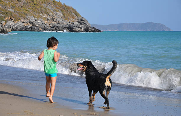 Playtime My son 3 and a half years old Cinar and our dog (8 years old female Rottweiler Mia) is sharing a playfull time on our latest trip to Kas - Antalya... rottweiler 3 years old stock pictures, royalty-free photos & images