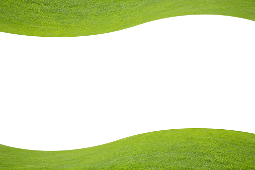 wallpaper of  green field on white background