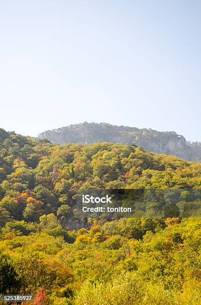 Forest Travel Mountain Stock Photo - Download Image Now - Autumn, Beauty, Crimea