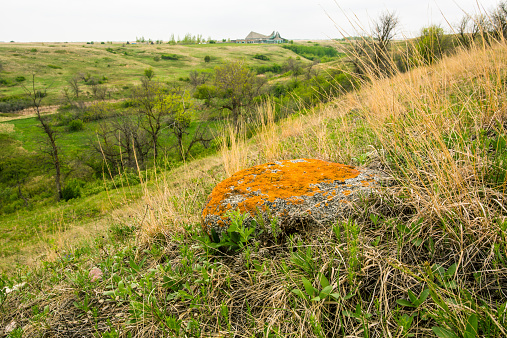 A rock with orange moss and the valley of the Canadian prairies in the background.