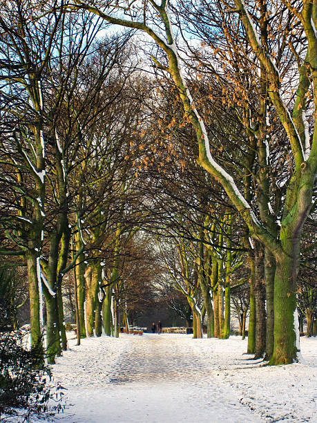istock Sunny day in the park 525417369