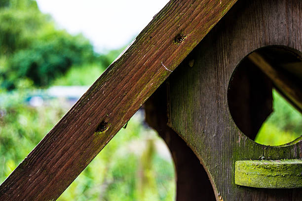istock Wooden Birdhouse 525423473