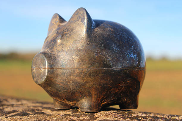 Asian men and golden pig