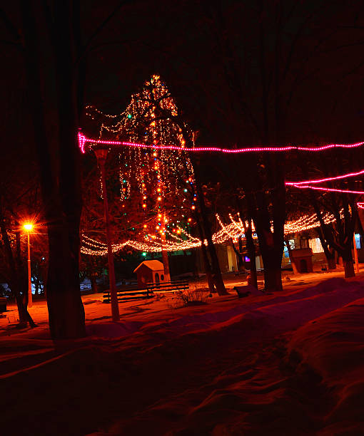 istock Park lights in the winter with christmas tree. 525433245