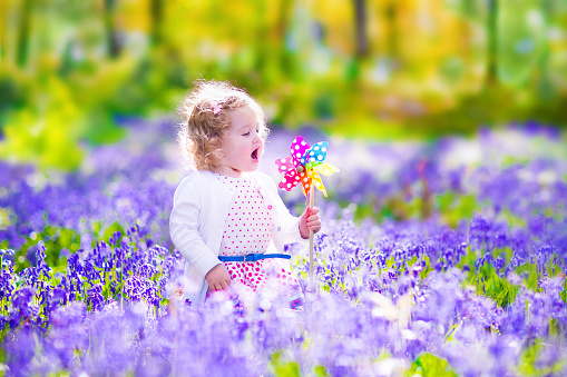 Adorable little girl with curly hair wearing a white dress playing with a wind toy having fun on a walk in a beautiful spring forest with blue bell flowers