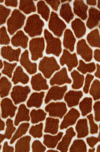 Giraffe fur texture