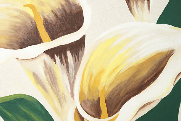 ilustraciones, imágenes clip art, dibujos animados e iconos de stock de calla lilies pintura - calla lily lily single flower white