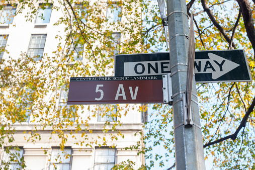 A 5th Avenue street name sign, New York, NY, USA.