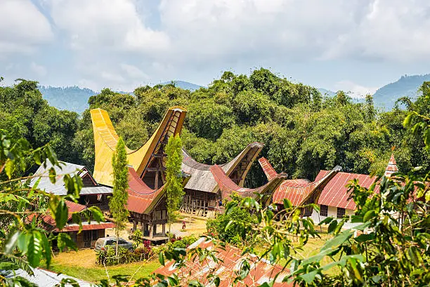 Traditional village of residential buildings with decorated facade and boat shaped roofs. Tana Toraja, South Sulawesi, Indonesia.