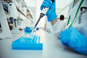 istock Scientist pipetting samples into tray in laboratory 525440703