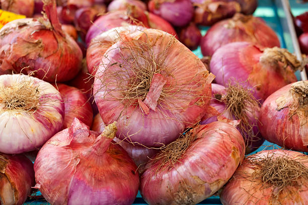 The Cipolla Rossa di Acquaviva delle Fonti, to give it it’s full name, is a speciality red onion with a distinctive aroma and flavour that can only be grown at and around the town Acquaviva delle Fonti near Bari in Puglia, southern Italy. As a consequence only 300 tons are grown in a year. The onion is celebrated by the township with a festival that is held at the end of July every year. Here they are being sold at a Puglia market.