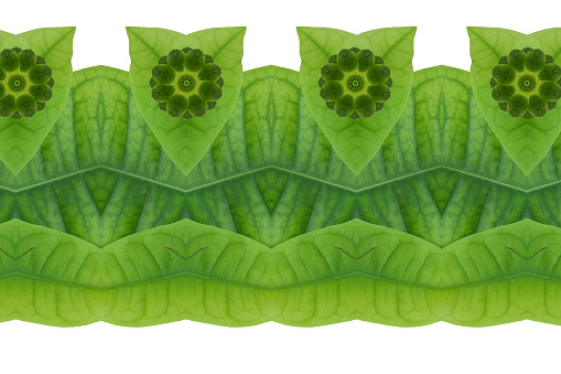 Idea from leaf.( Pattern Green from leaf  concept