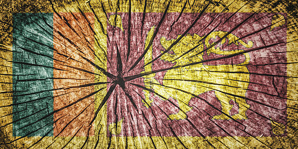 istock Flag of Sri Lanka 525449547