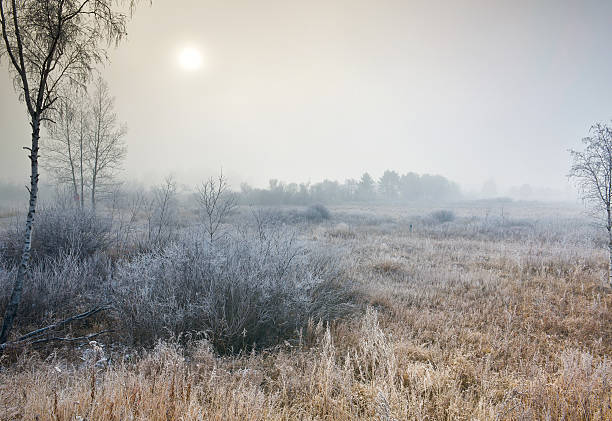 istock Morning mist in snow field 525451899