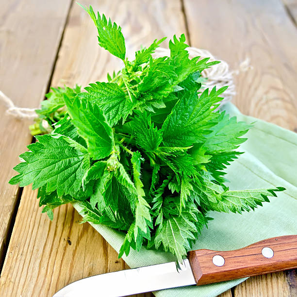 istock Nettles with knife on napkin 525452059