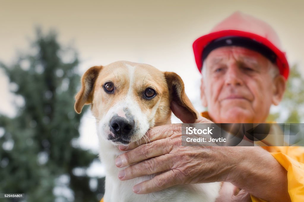 Man Rescuing Dogs Rescuing Dog Stock Photo - Download Image Now - Pets, Fire - Natural ...