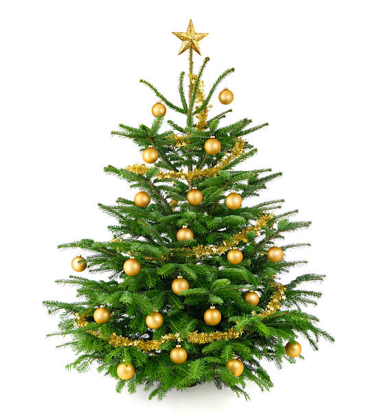 istock Beautiful Christmas tree with gold baubles 525455865