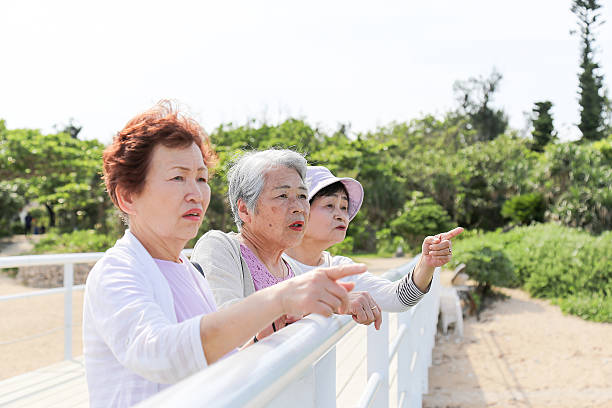 istock Elderly people are looking at the landscape 525470140