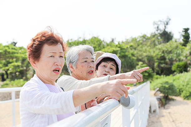 istock Elderly people are looking at the landscape 525470216