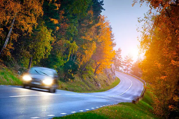 Car on the road in the fores