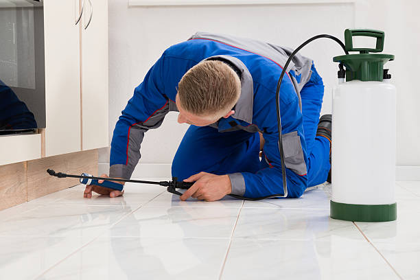 Male Worker Spraying Pesticide On Cabinet