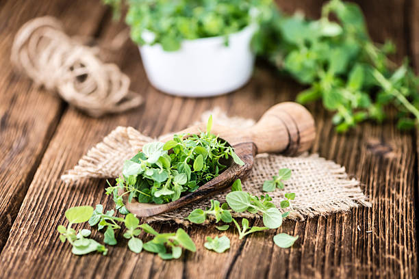 istock Fresh Oregano on wooden background 525482342