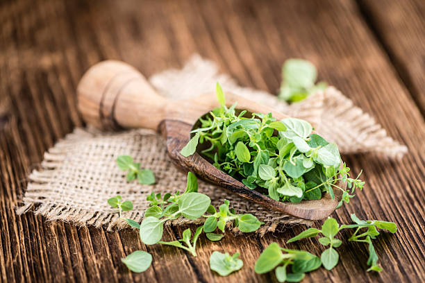 istock Portion of fresh Oregano 525482454