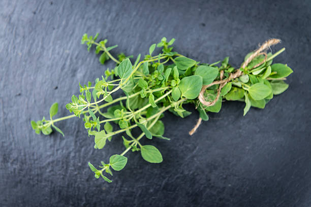 istock Portion of fresh Oregano 525483634
